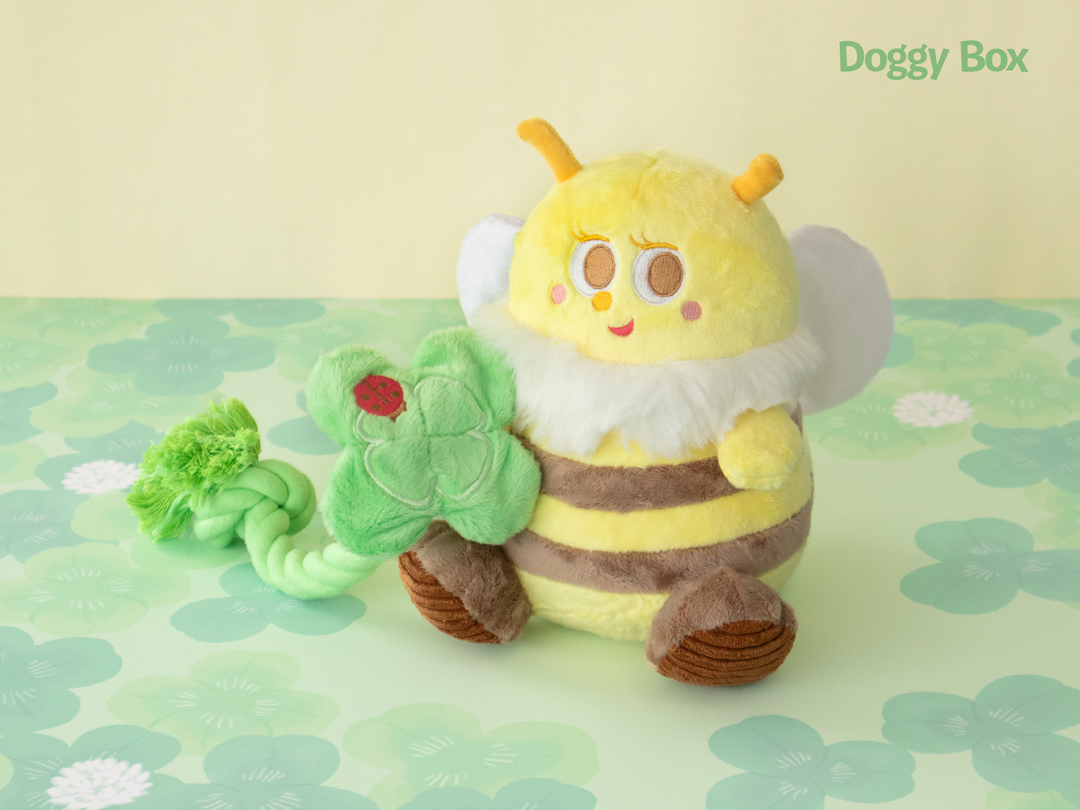 中型犬用Box – Doggy Box