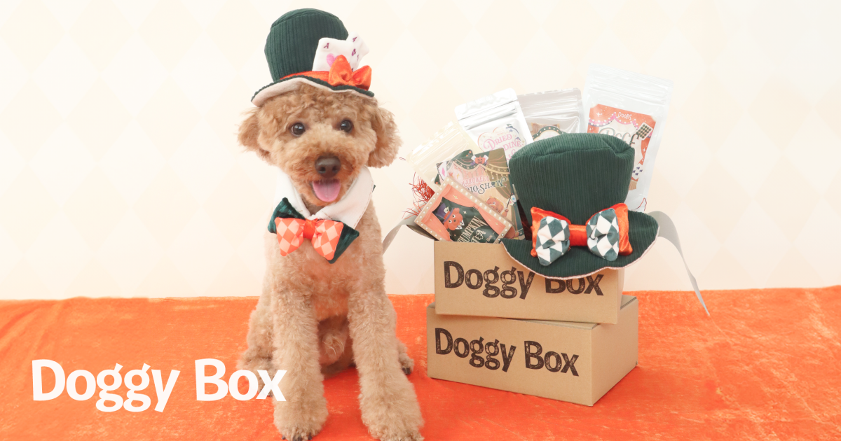 Box サイズ選択 – Doggy Box