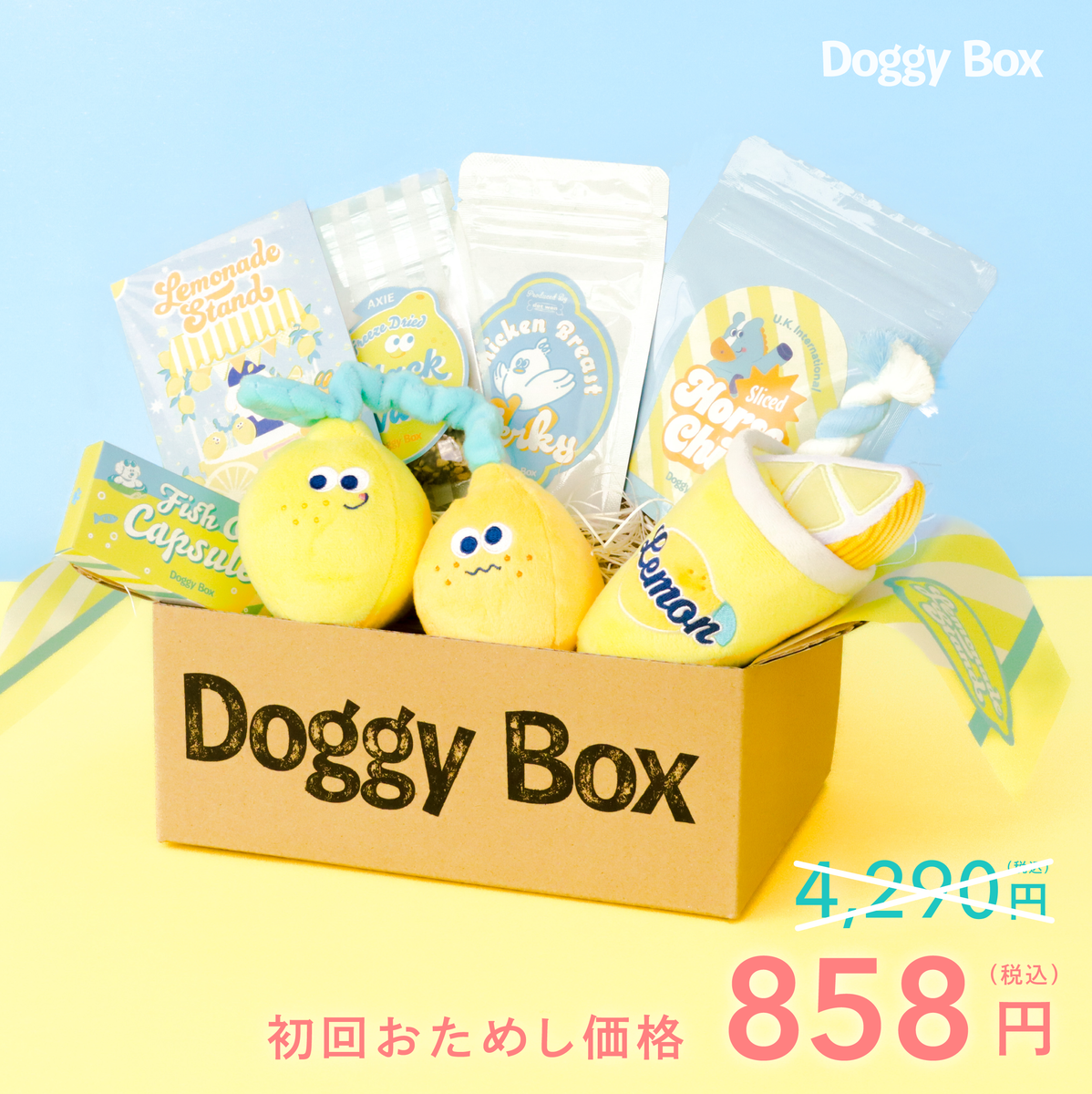 小型犬用Box – Doggy Box