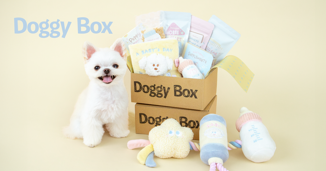 Doggy Box | 毎月サプライズいっぱいのBOXをお届け Doggy Box | 毎月サプライズいっぱいのBOXをお届け