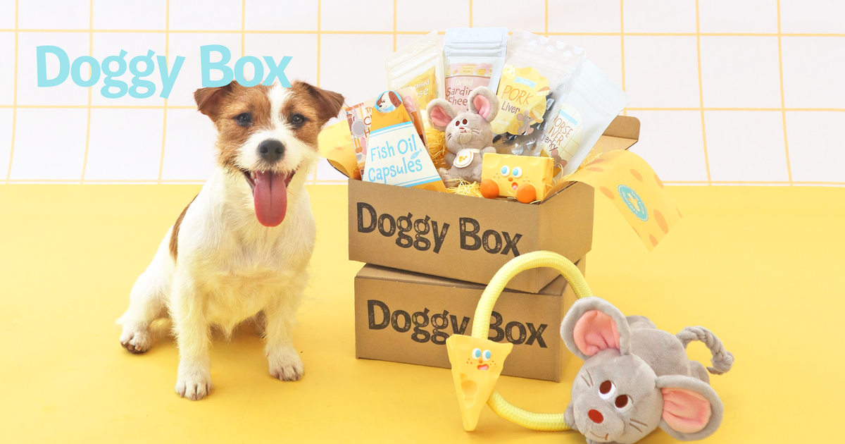 Doggy Box | 毎月サプライズいっぱいのBOXをお届け