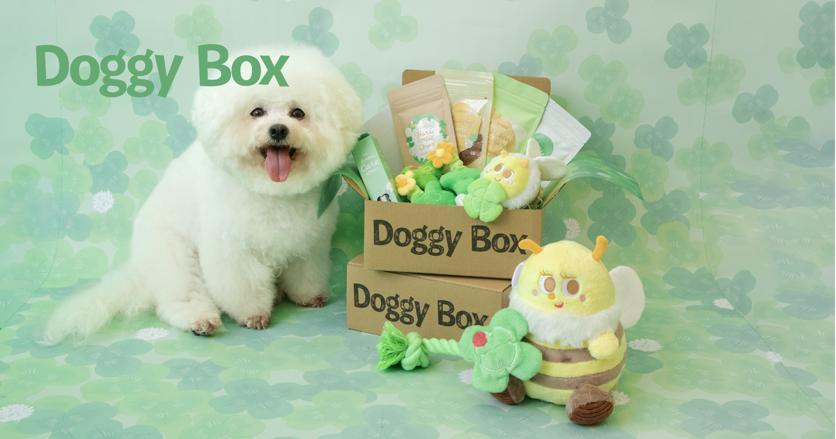 Doggy Box | 毎月サプライズいっぱいのBOXをお届け Doggy Box | 毎月サプライズいっぱいのBOXをお届け