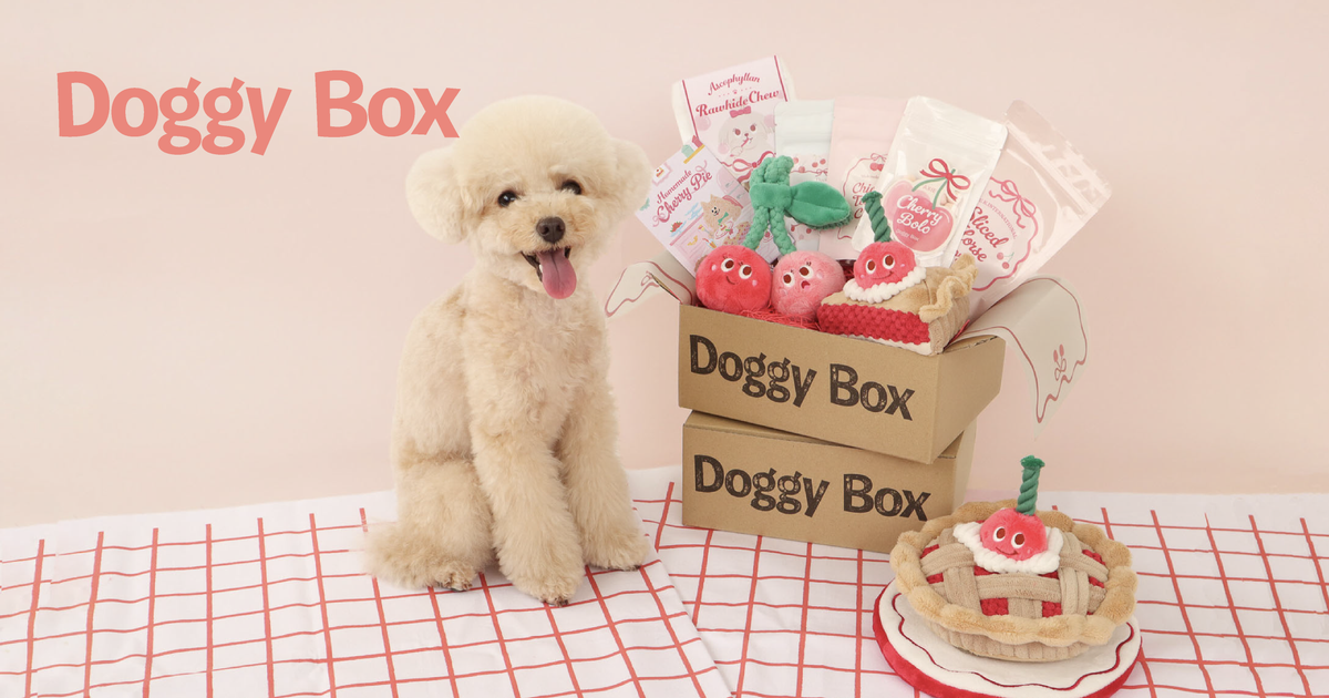 Doggy Box | ワンちゃんのためのワクワク定期便