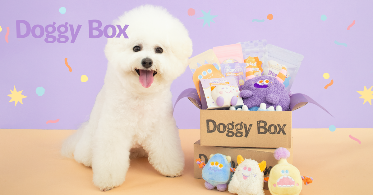 Doggy Box | ワンちゃんのためのワクワク定期便