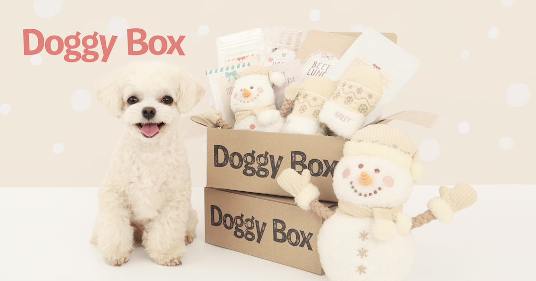 Doggy Box | ワンちゃんのためのワクワク定期便
