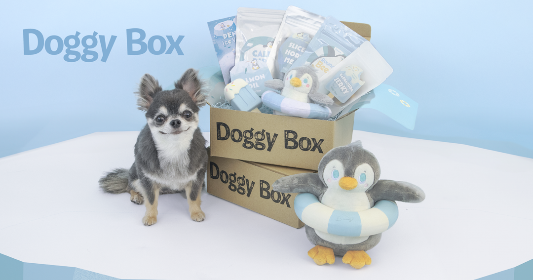 Doggy Box | ワンちゃんのためのワクワク定期便