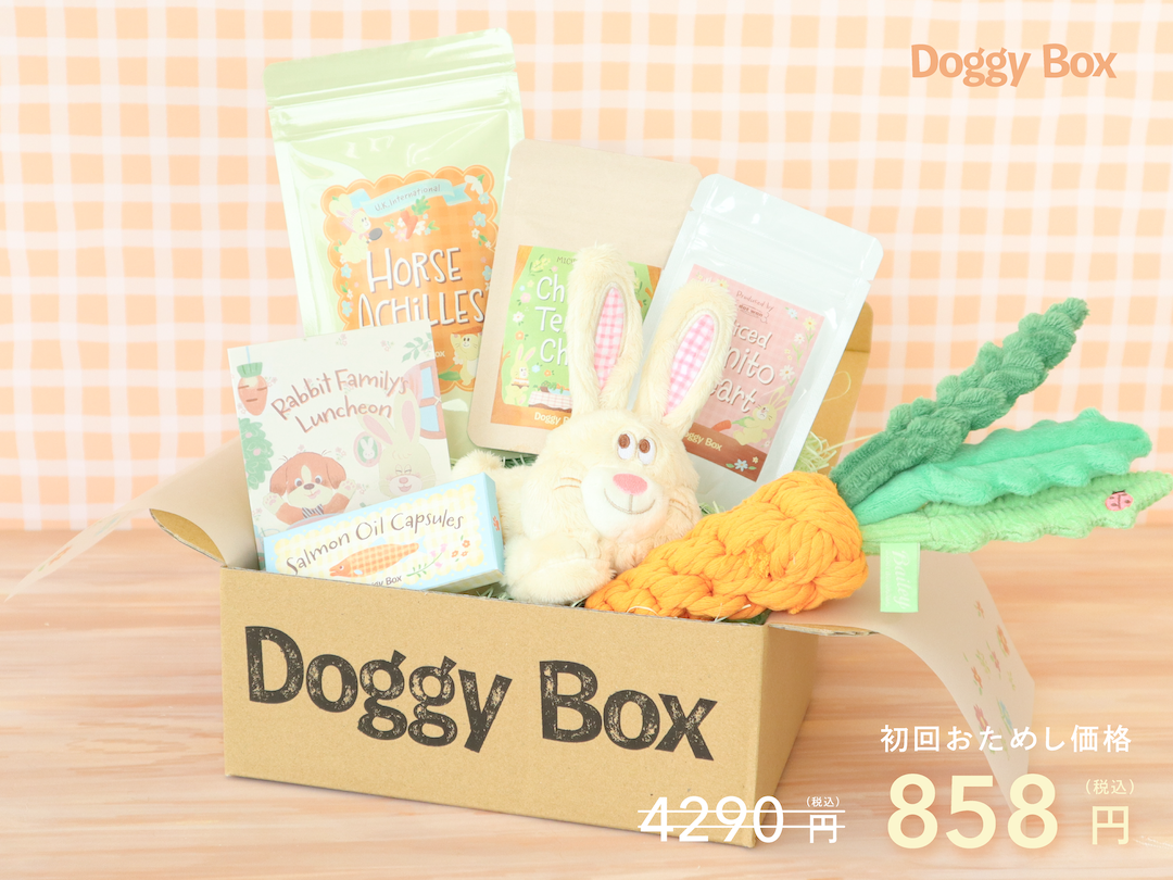 新品】doggybox ドギーボックス犬のおもちゃ60個セット