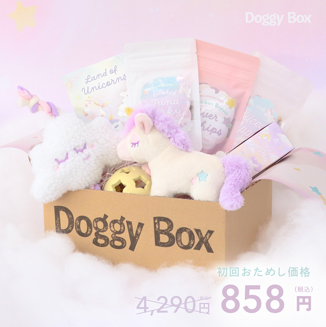 コント犬～DVD-BOX～〈初回限定版・4枚組〉 小型犬用Box – Doggy Box