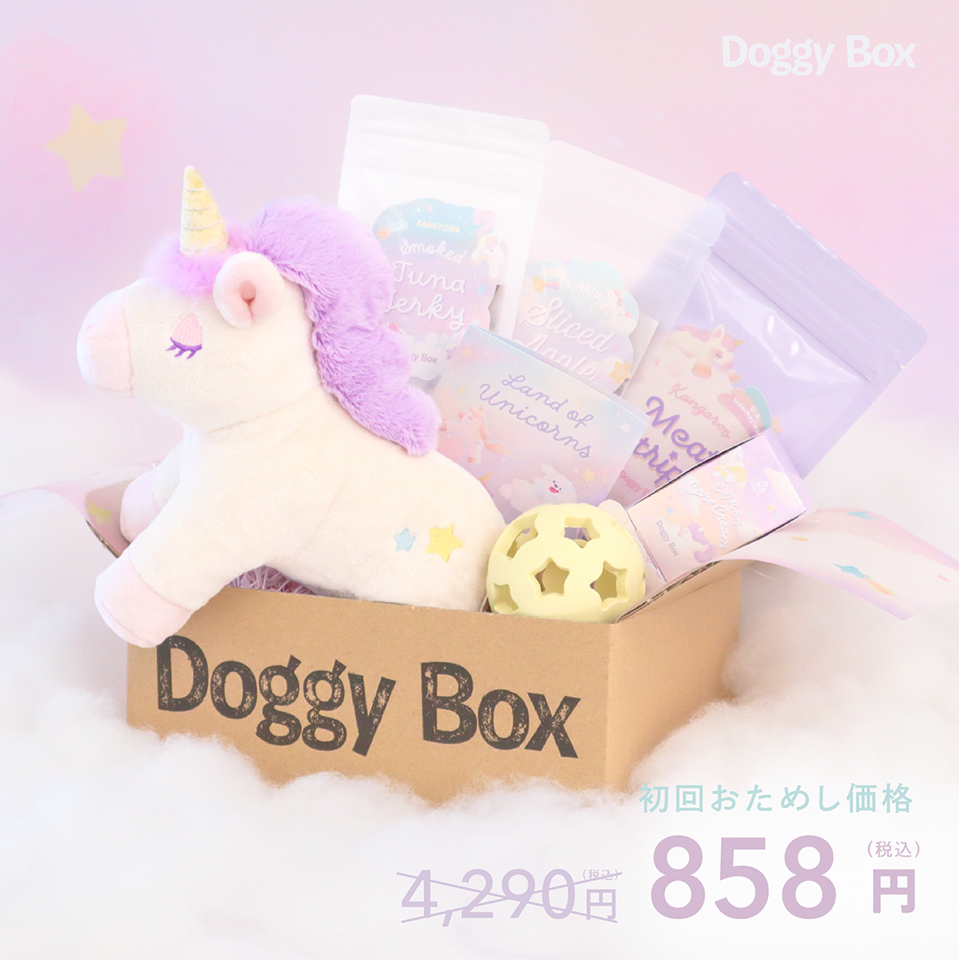 コント犬～DVD-BOX～〈初回限定版・4枚組〉 中型犬用Box – Doggy Box