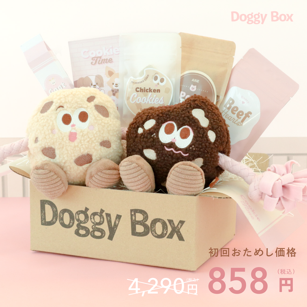 202602_89524607-6a3a-46b5-9f1f