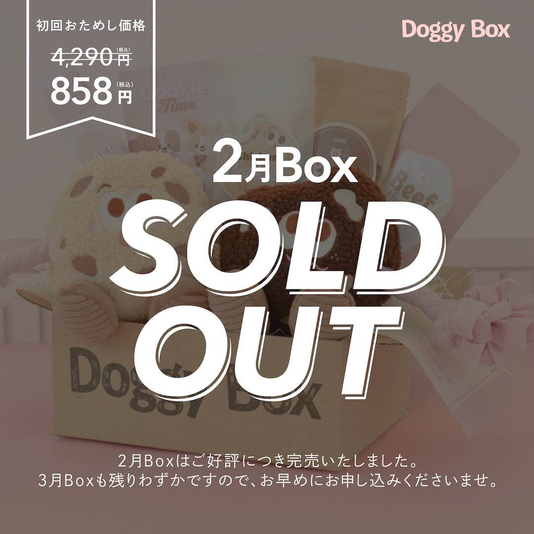 大型犬用Box – Doggy Box