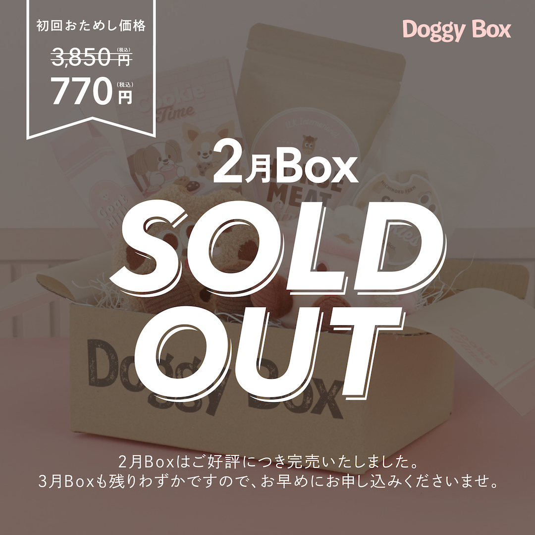 超小型犬用Box – Doggy Box