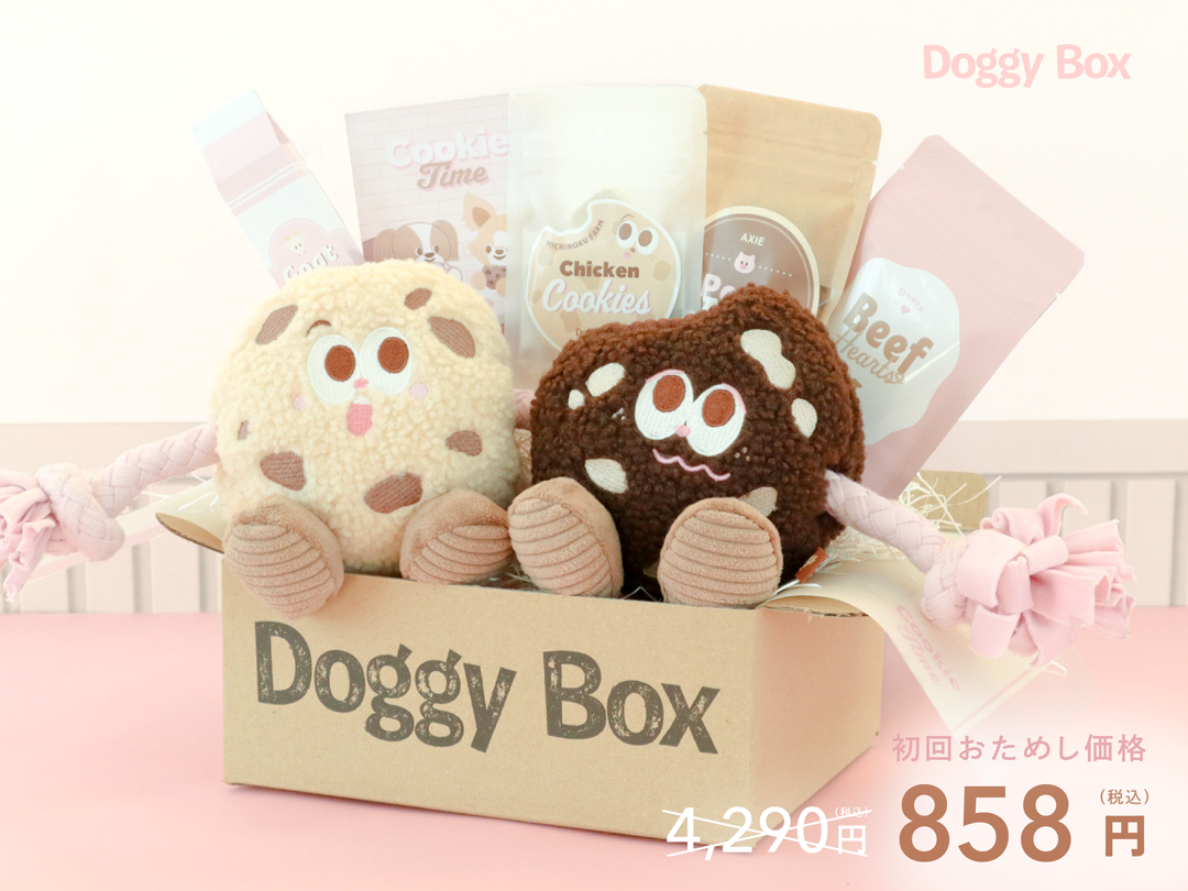 大型犬用Box – Doggy Box