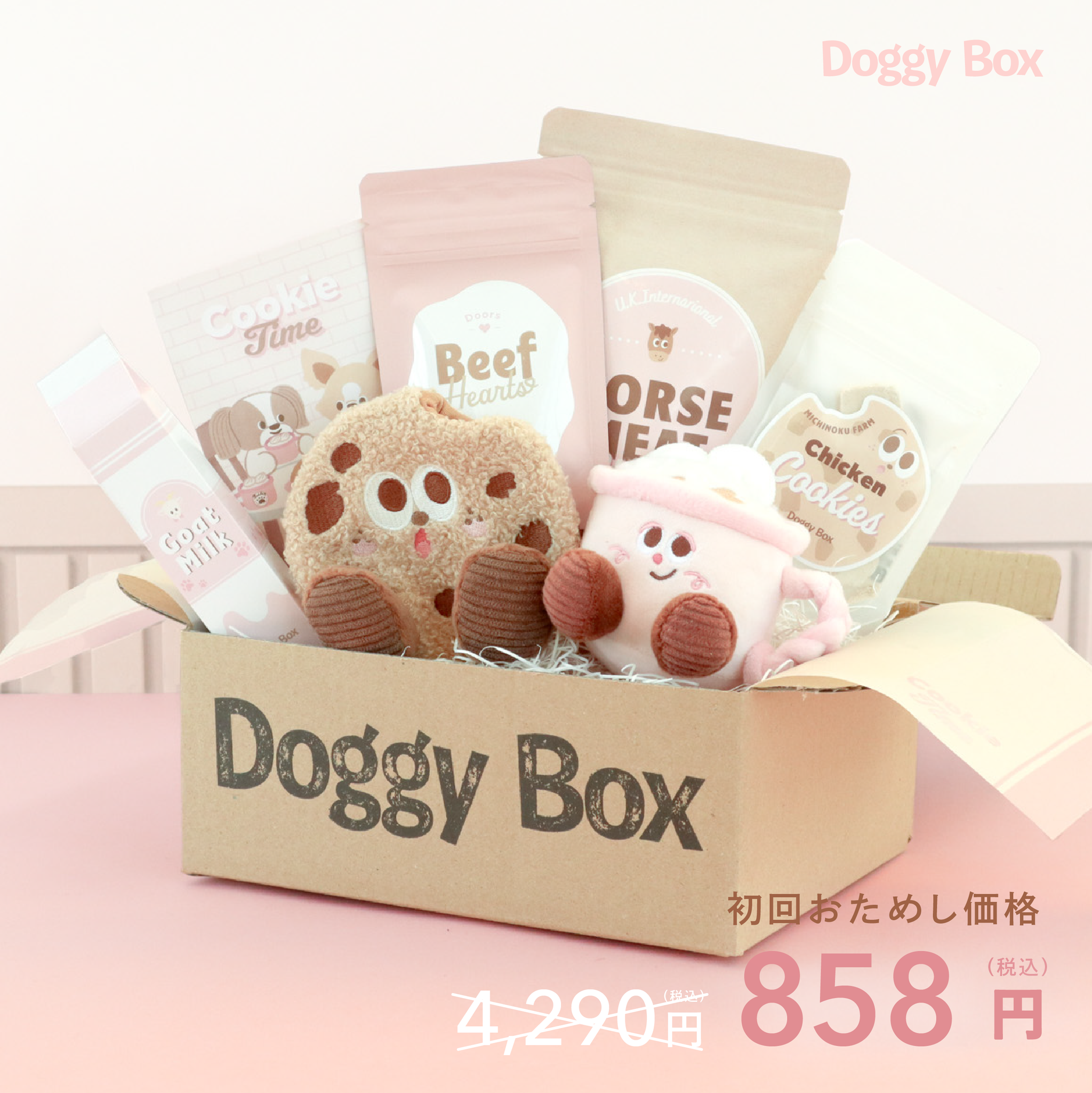 小型犬用Box – Doggy Box