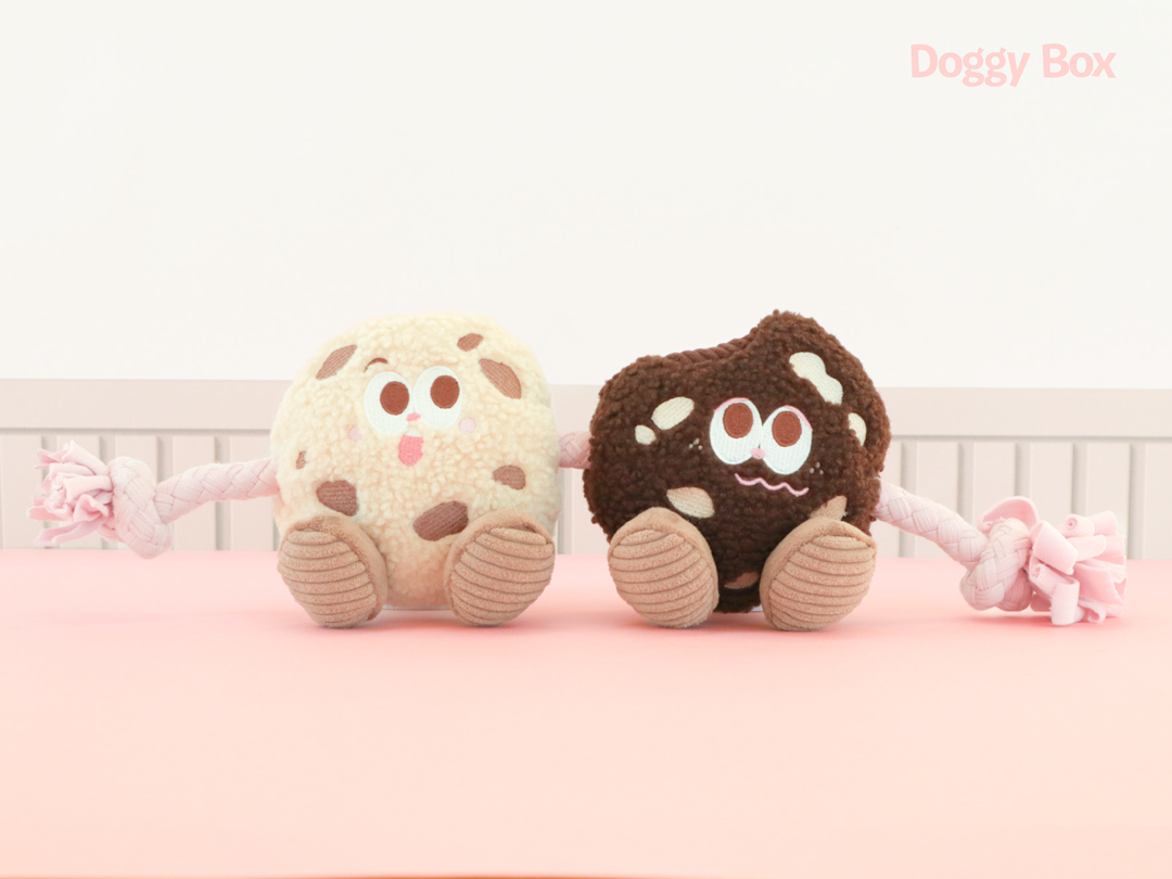 202602_eb1e51e2-287e-4694-b0fc