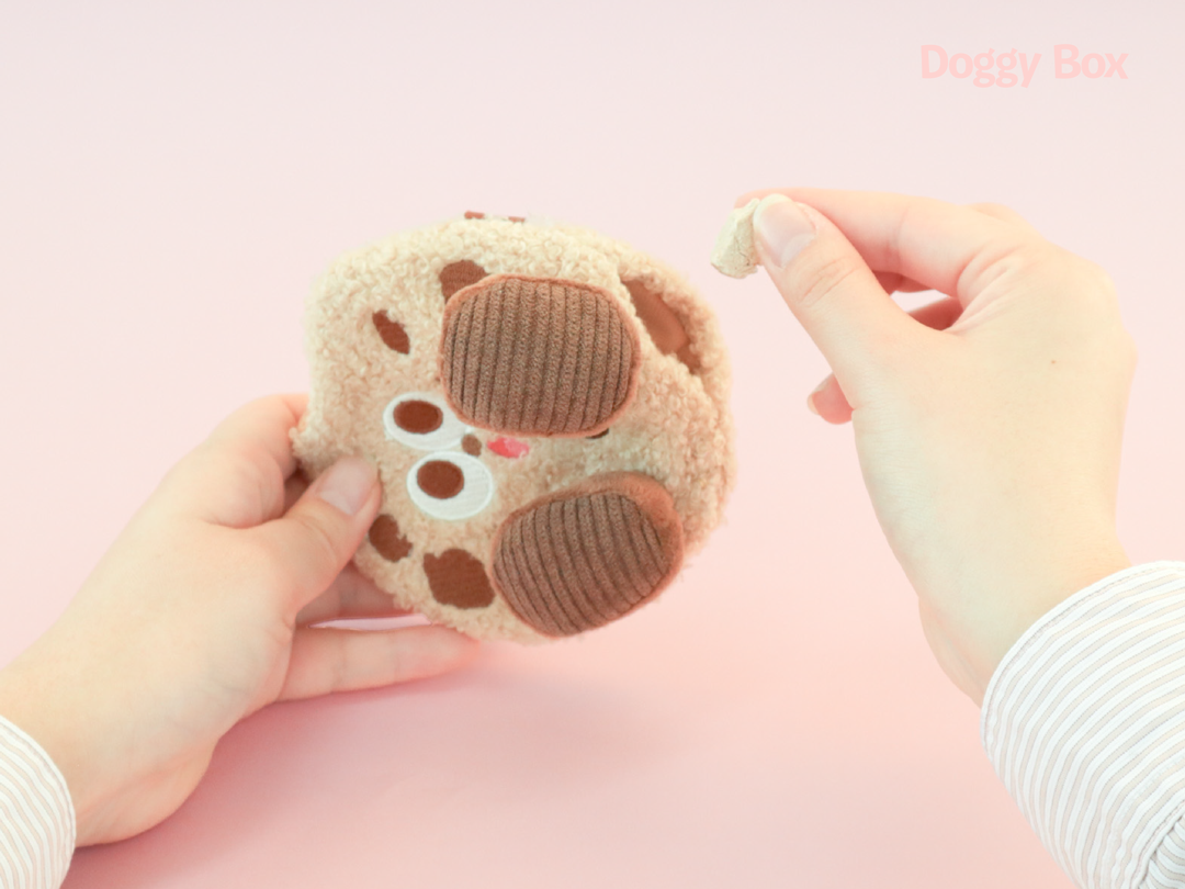 超小型犬用Box – Doggy Box