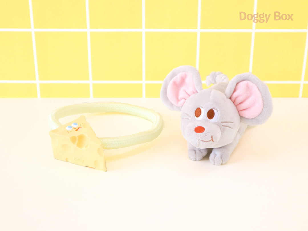 中型犬用Box – Doggy Box