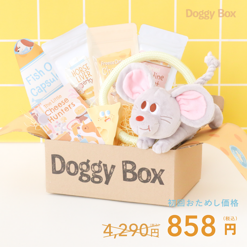 商品 – Doggy Box
