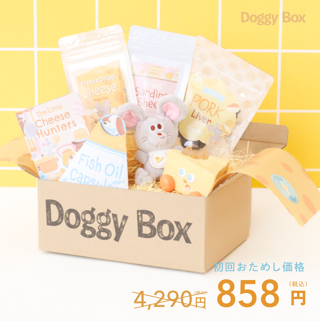 小型犬用Box – Doggy Box