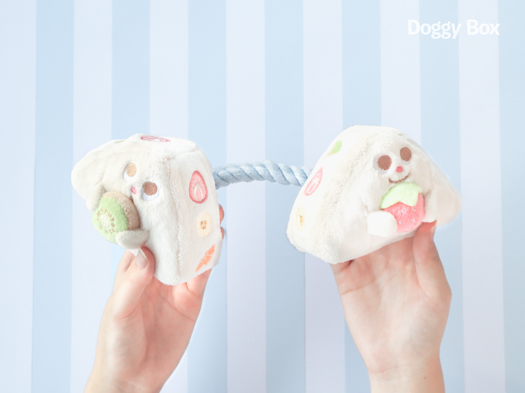超小型犬用Box – Doggy Box 超小型犬用Box – Doggy Box