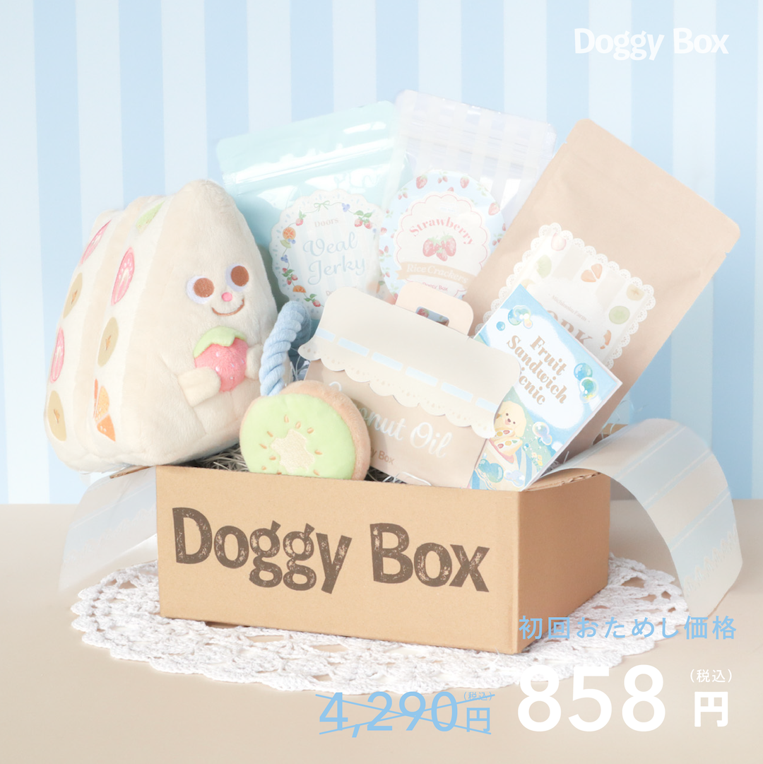 プリフェクトの箱庭　左藤さなゆき　特典セット 202604_e2d68f64-44c4-439c-ab40