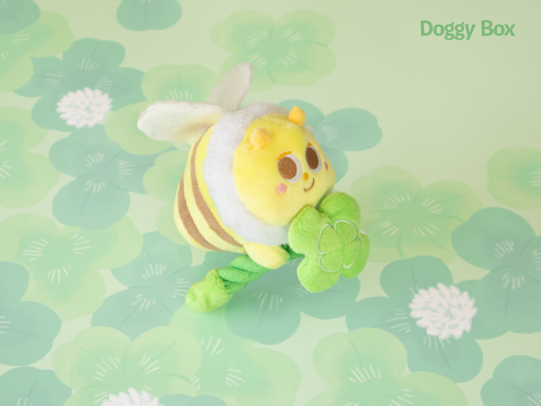超小型犬用Box – Doggy Box