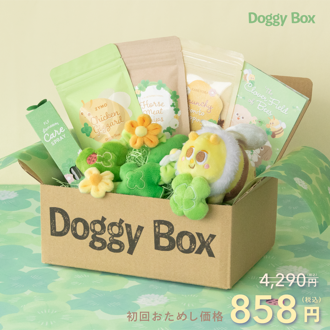 小型犬用Box – Doggy Box 小型犬用Box – Doggy Box