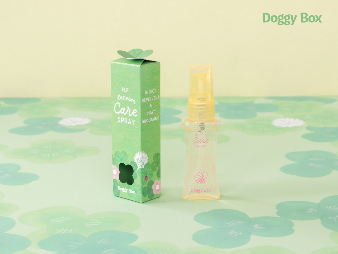 小型犬用Box – Doggy Box
