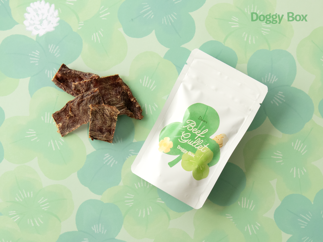 中型犬用Box – Doggy Box
