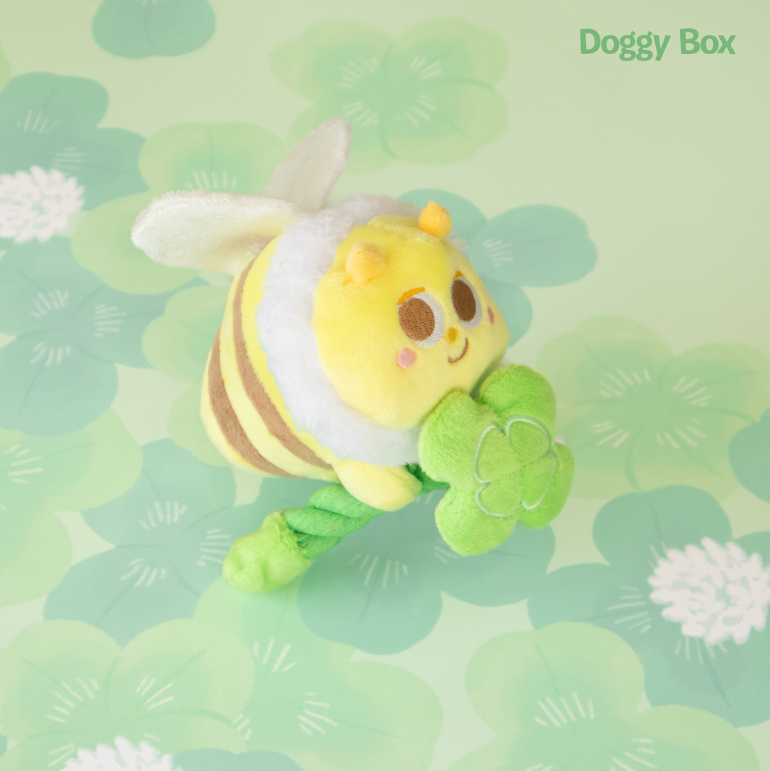 超小型犬用Box – Doggy Box 超小型犬用Box – Doggy Box