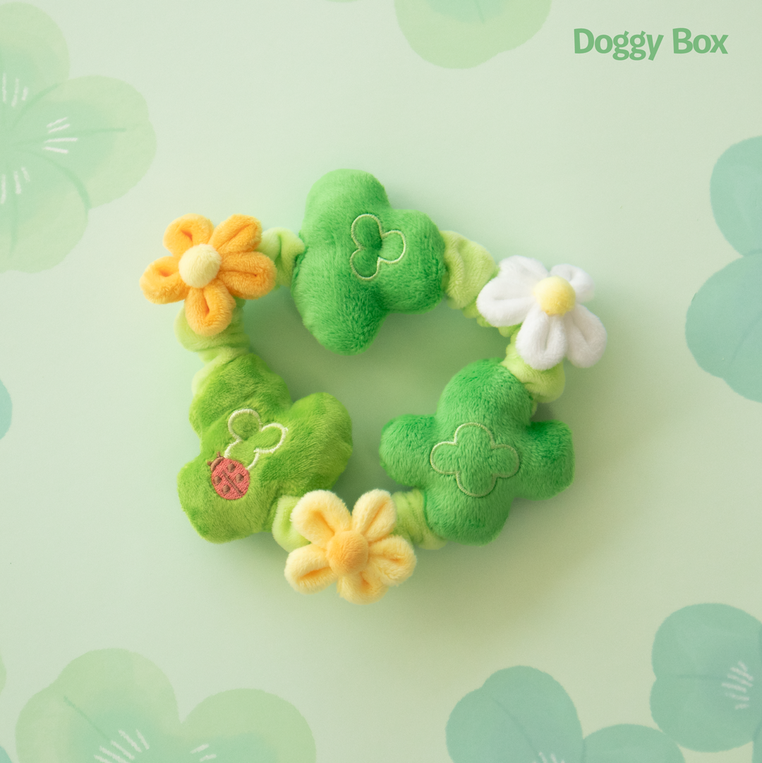 小型犬用Box – Doggy Box 小型犬用Box – Doggy Box