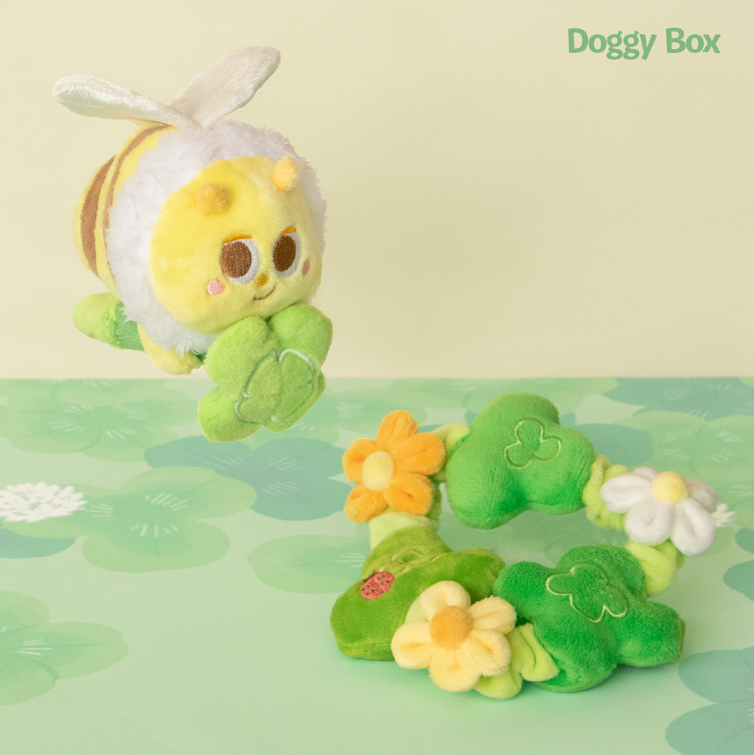 小型犬用Box – Doggy Box 小型犬用Box – Doggy Box