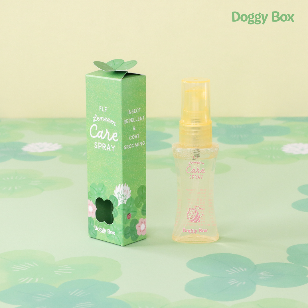 小型犬用Box – Doggy Box 小型犬用Box – Doggy Box