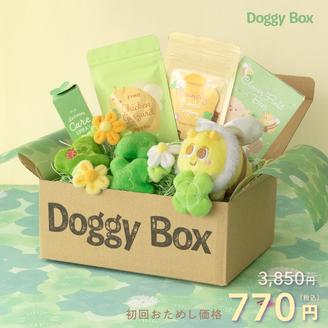 quiet funk 25th anniversary BOX 受注限定生産商品 202605_c119c138-83c8-4107-9855