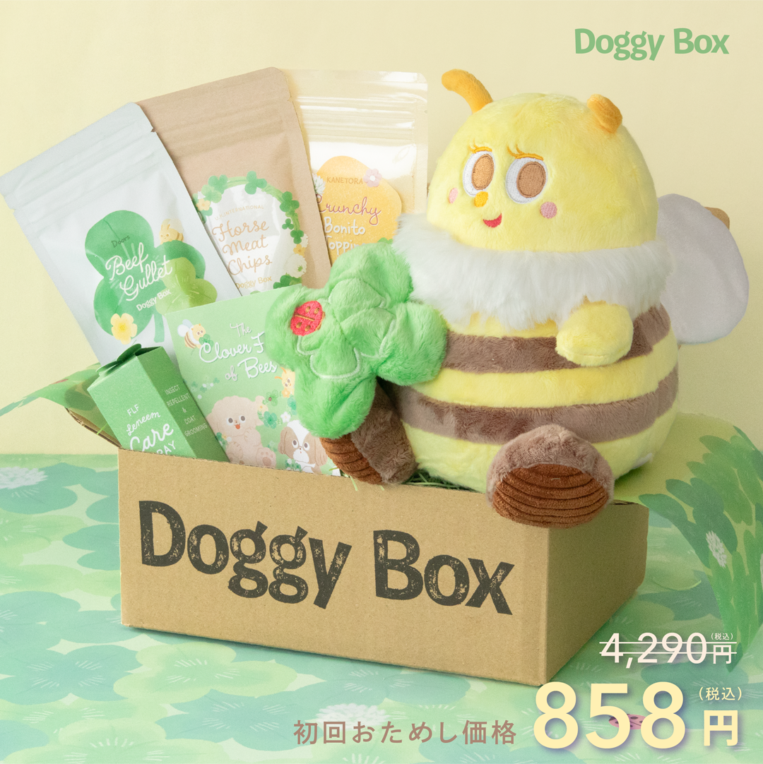 DOGGY BAG●ドギー・バッグ  ●本人 直筆サイン色紙・うちわ・生写真 中型犬用Box – Doggy Box