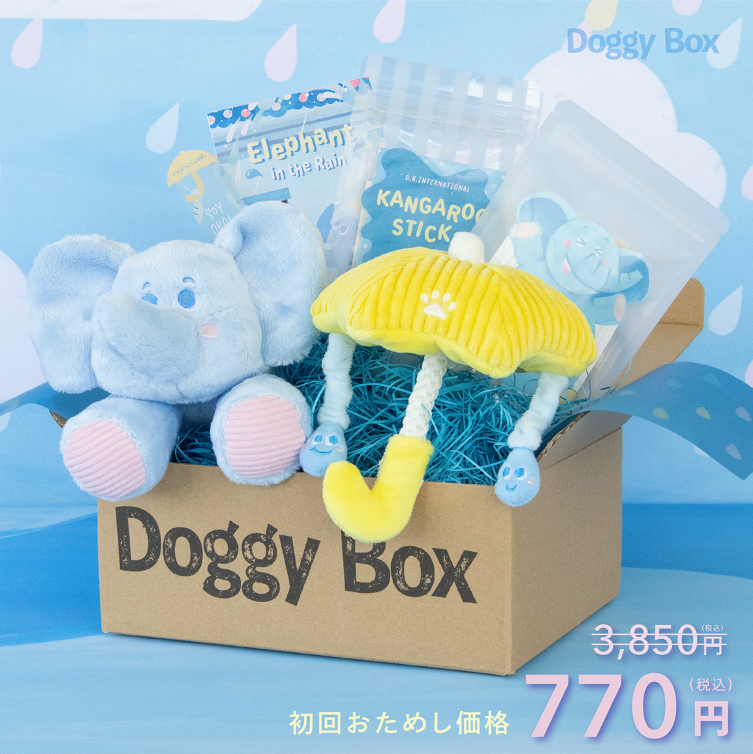超小型犬用Box – Doggy Box