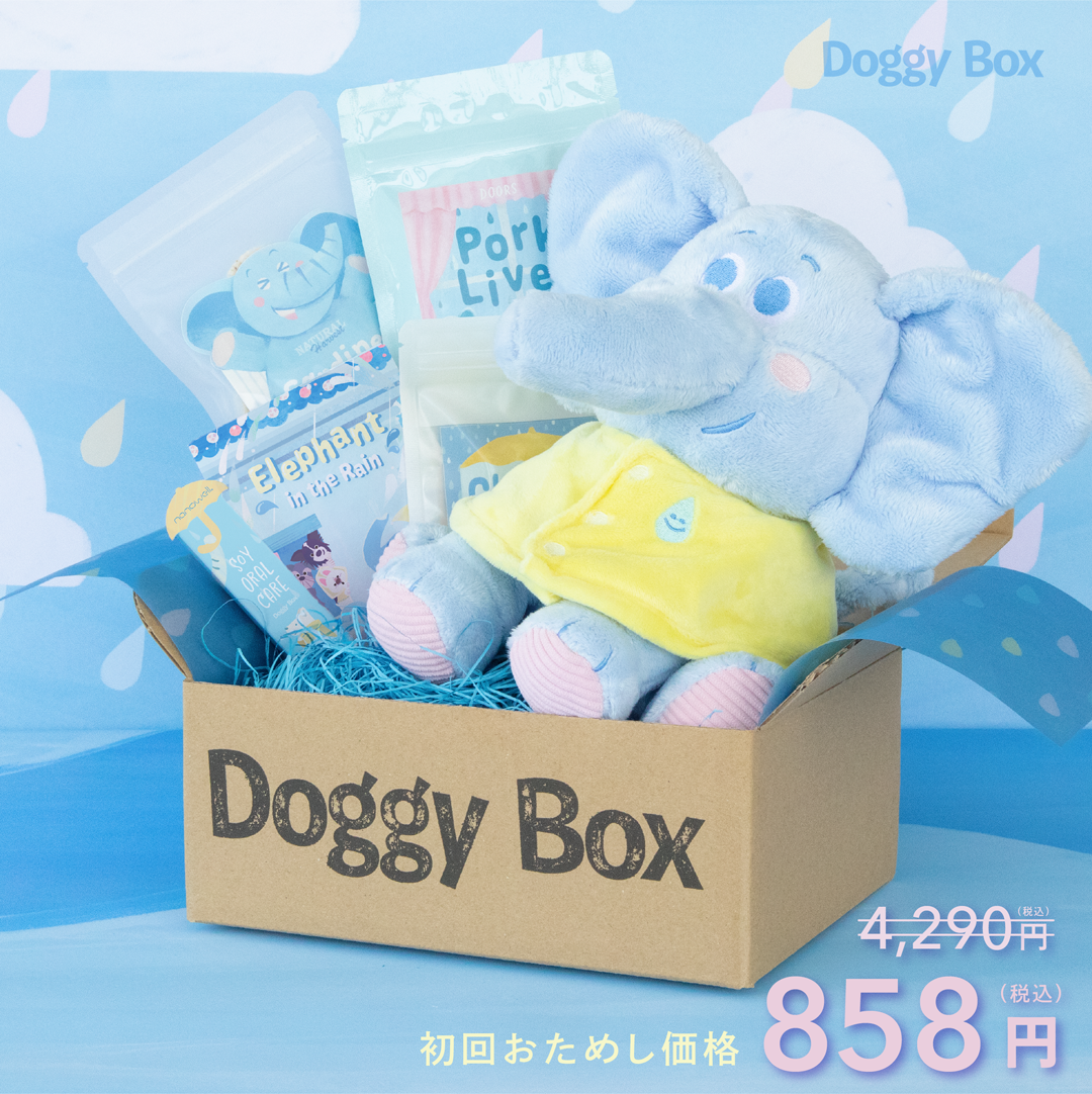 中型犬用Box – Doggy Box