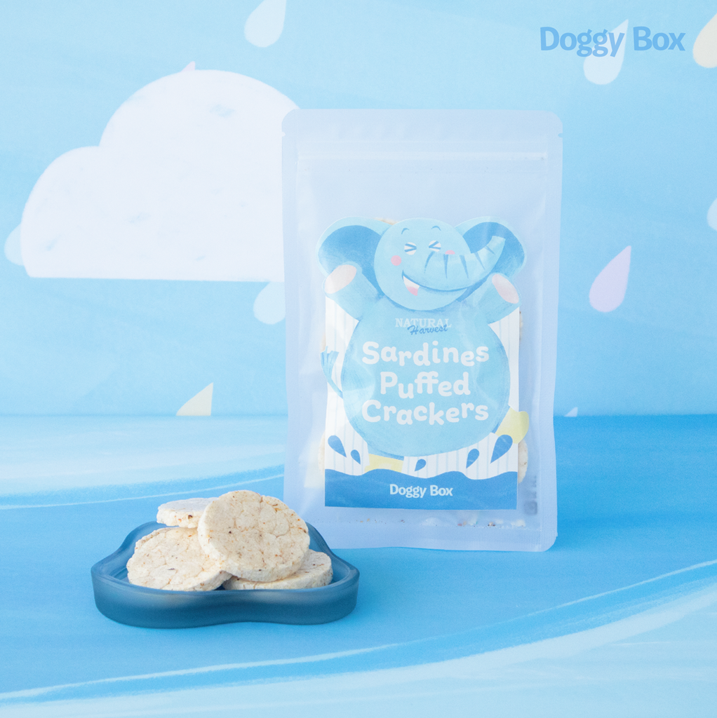 大型犬用Box – Doggy Box
