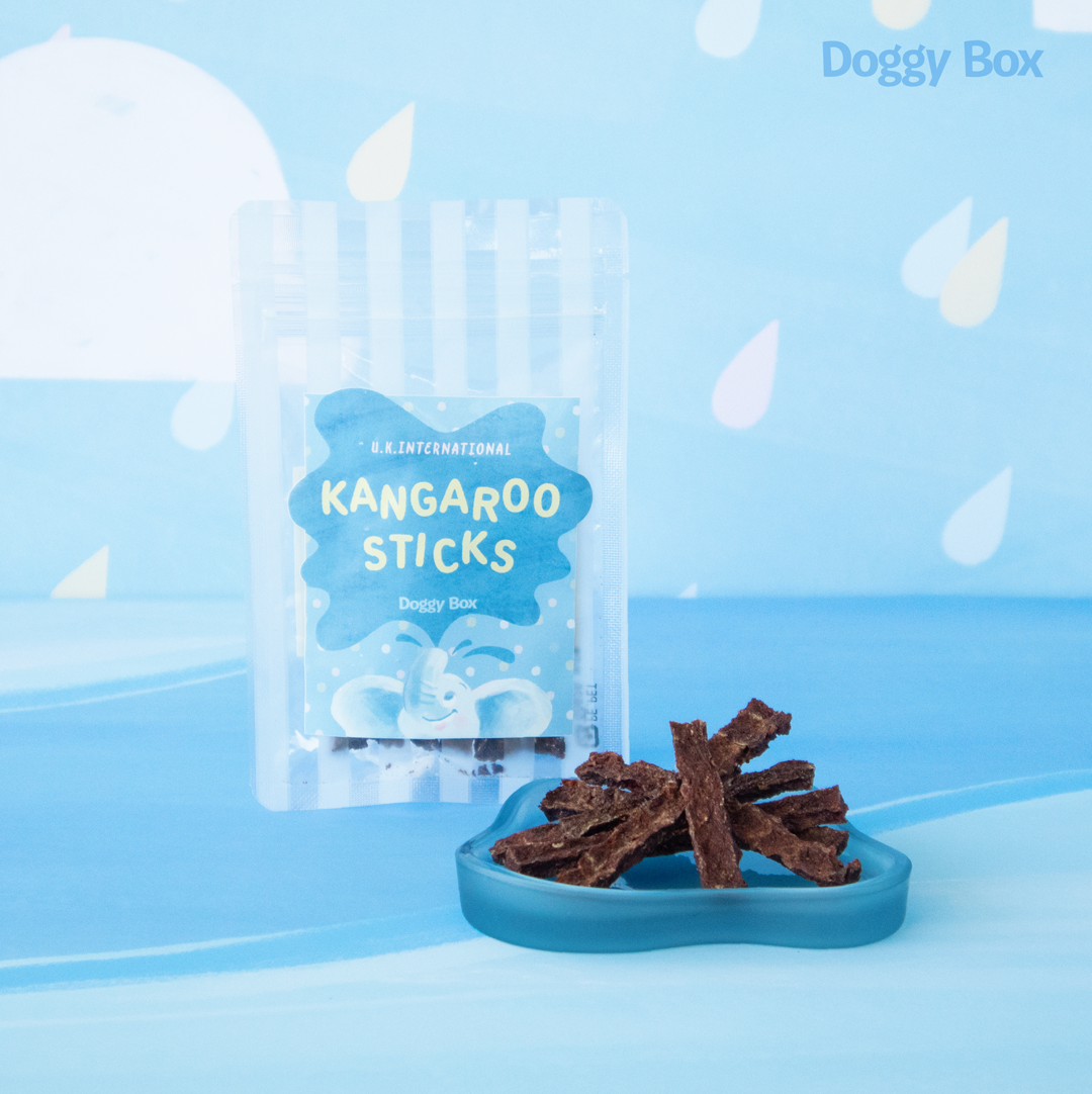 超小型犬用 Box – Doggy Box