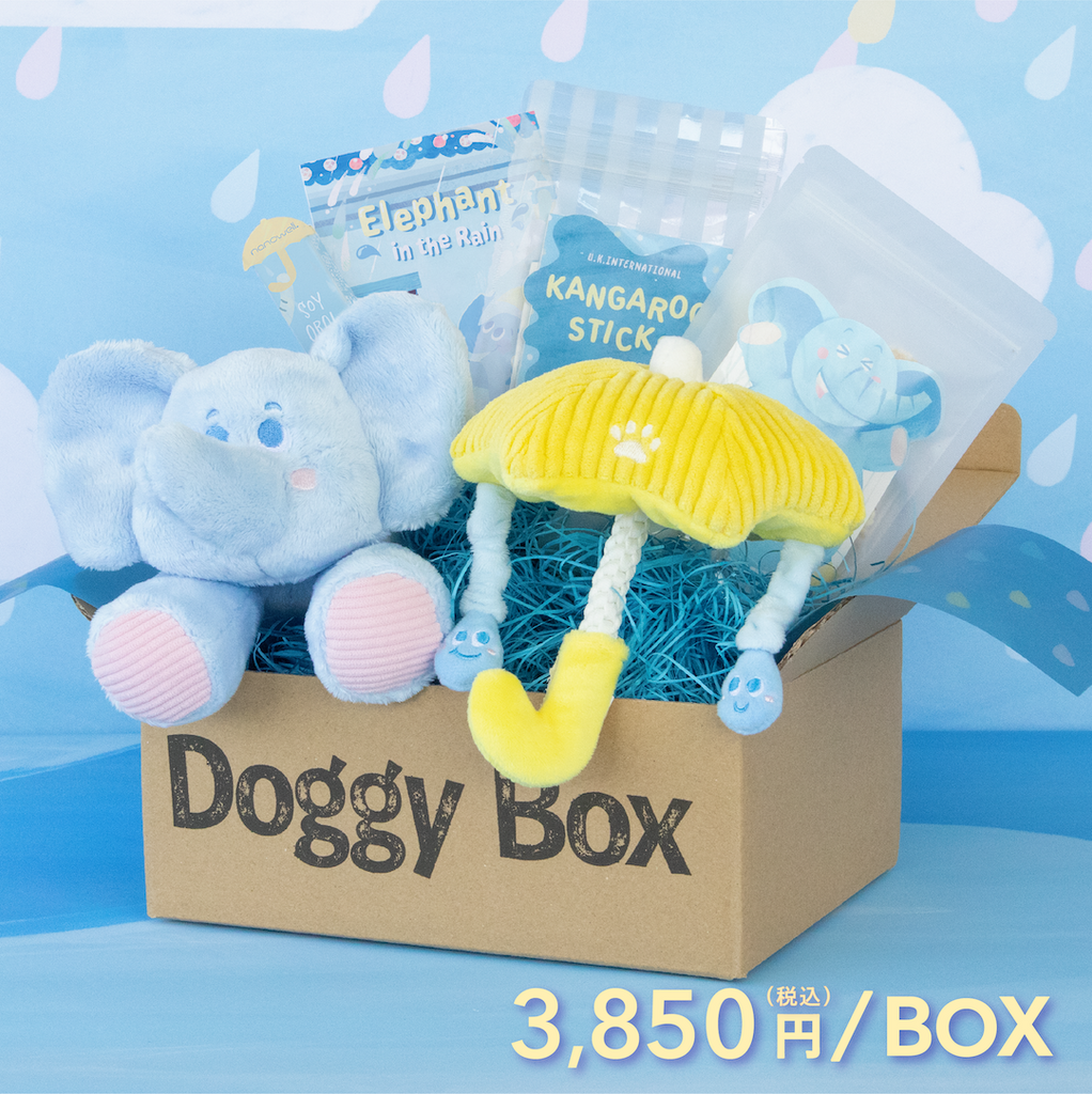 未使用 DoggyBox 雪だるま等 おもちゃまとめ売り 10個 ドギーボックス 商品 – Doggy Box