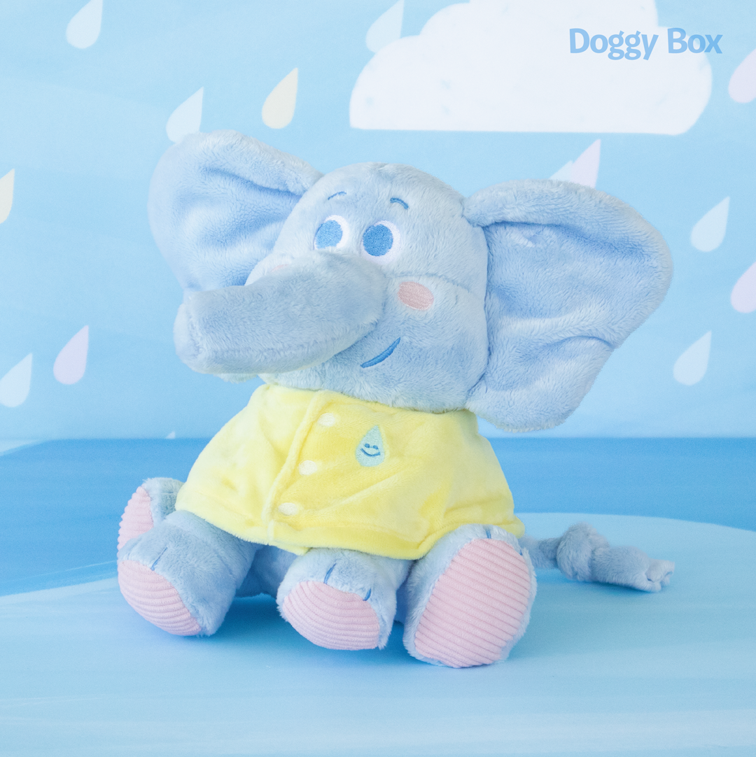 商品 – Doggy Box