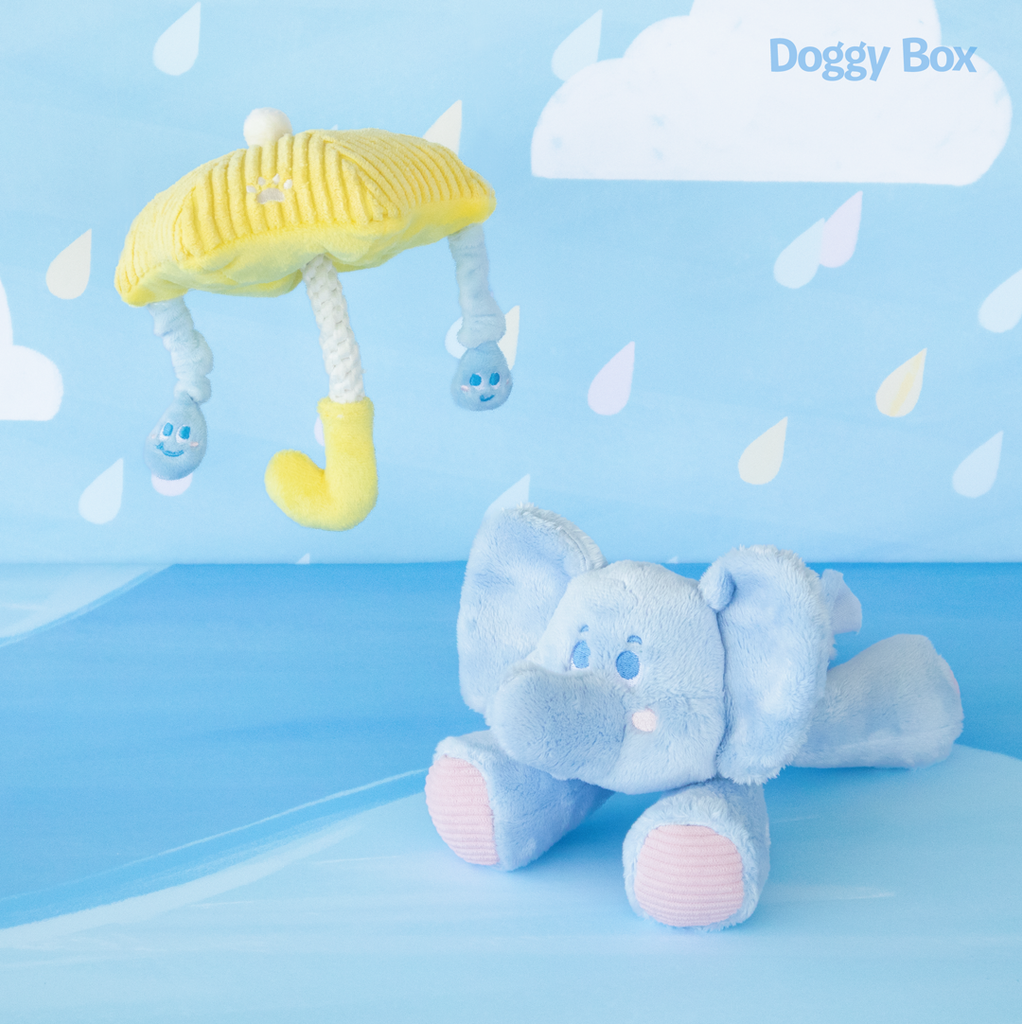 商品 – Doggy Box
