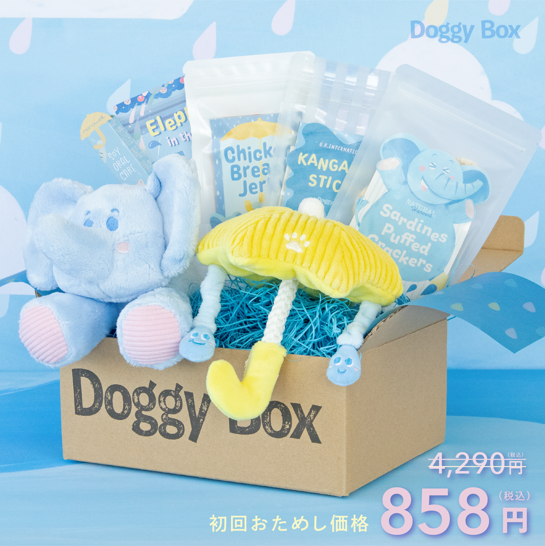 小型犬用Box – Doggy Box 小型犬用Box – Doggy Box