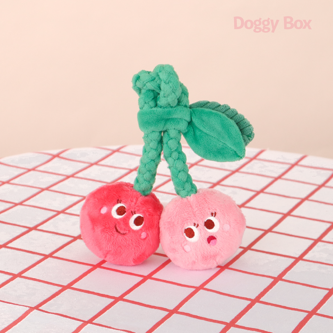 小型犬用Box – Doggy Box 小型犬用Box – Doggy Box