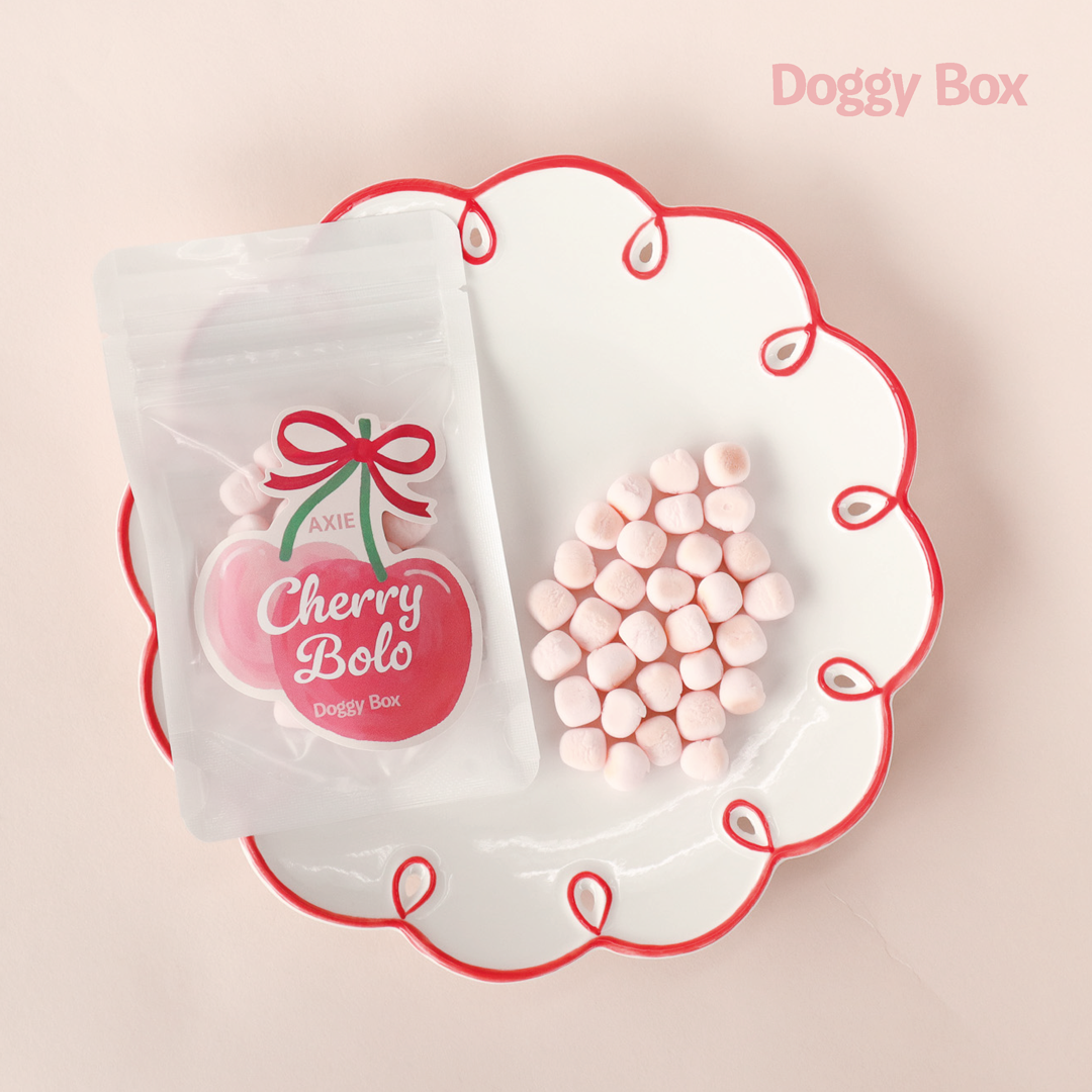 中型犬用Box – Doggy Box 中型犬用Box – Doggy Box