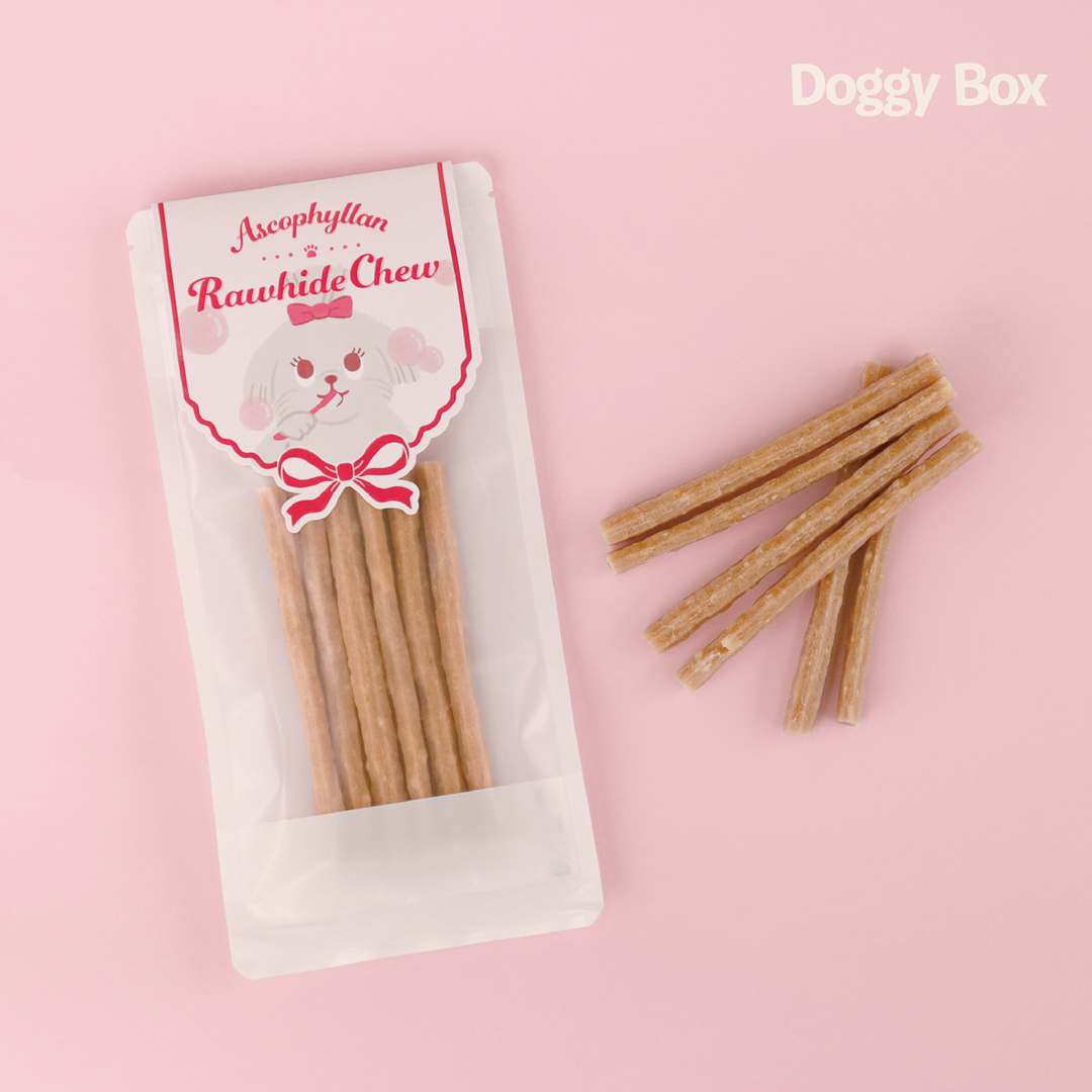 大型犬用Box (あと払い決済) – Doggy Box