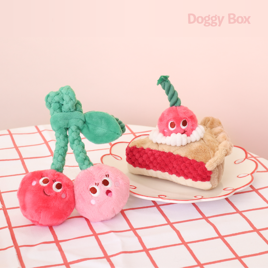 イ・チェヨン MAKESTAR限定 未公開フォトカード 子犬 ver. SET イ