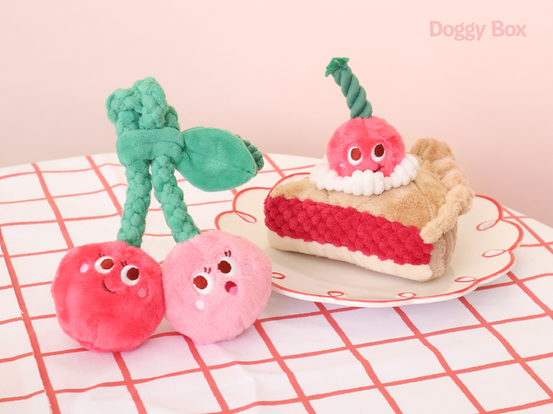 超小型犬用Box – Doggy Box 超小型犬用Box – Doggy Box