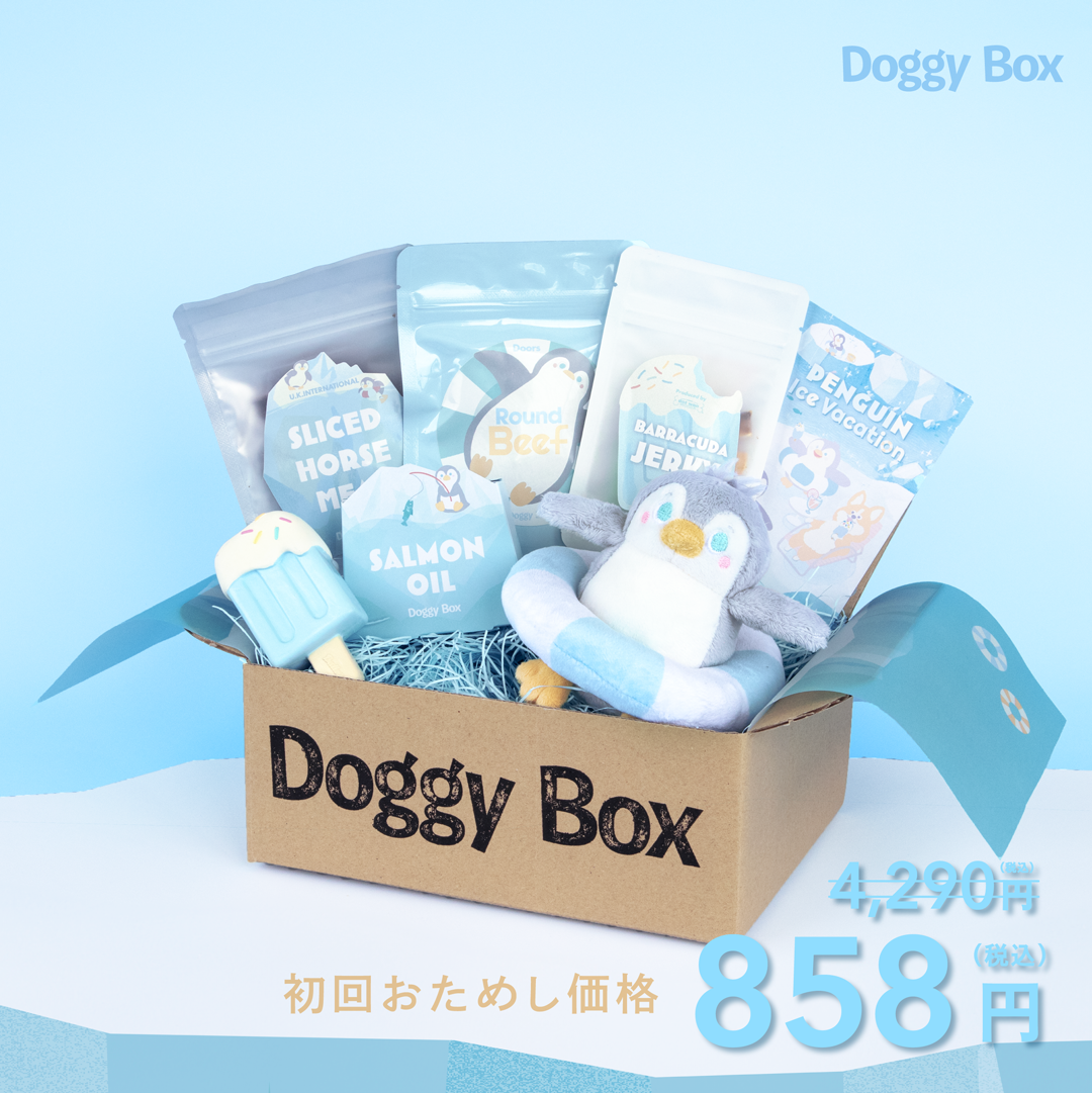 202608____BOX_2048x.png?v=