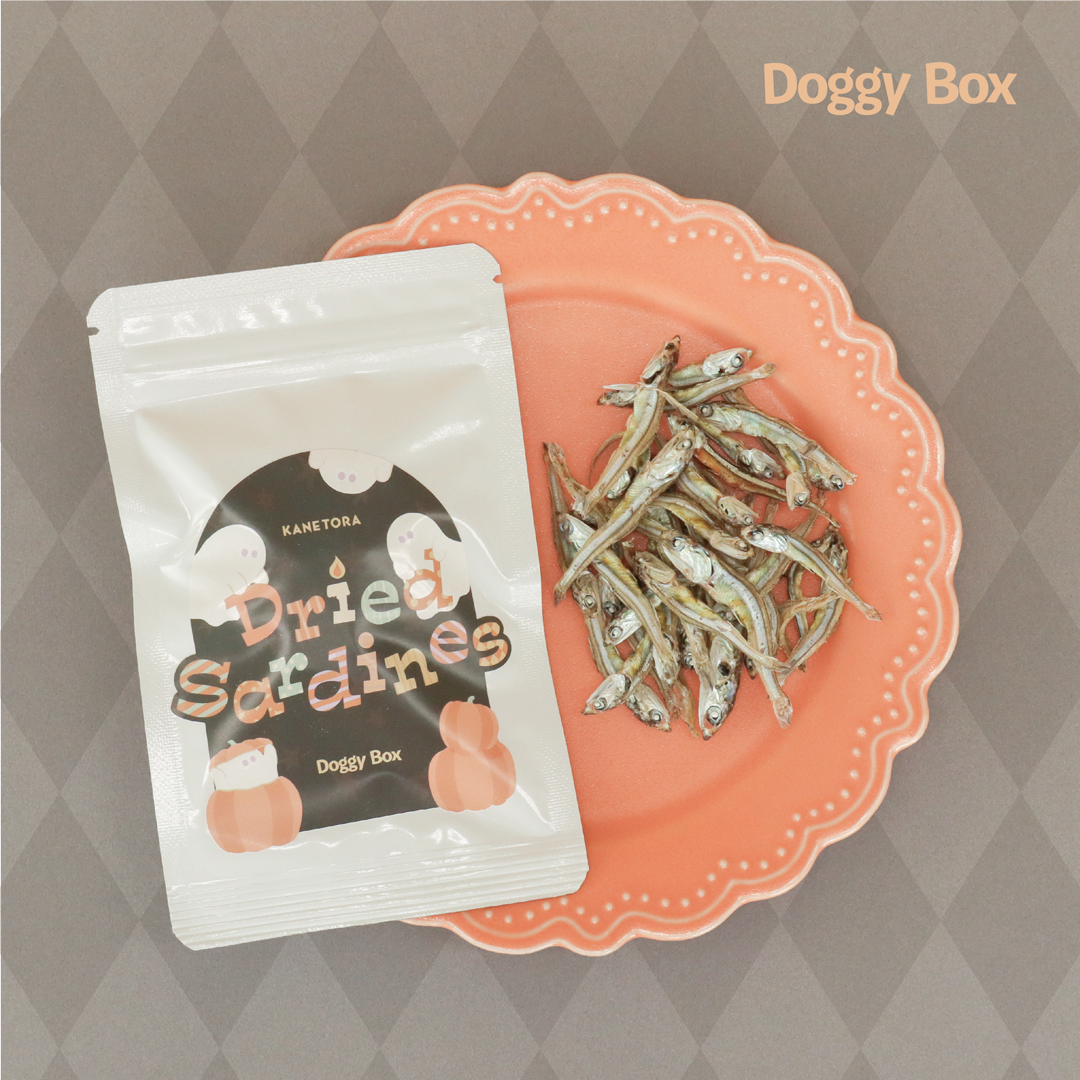 小型犬用Box – Doggy Box
